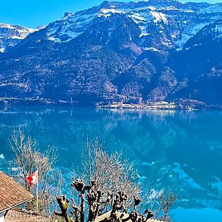 Hotel Alpina Boutique Interlaken - Ringgenberg - Adults Only !