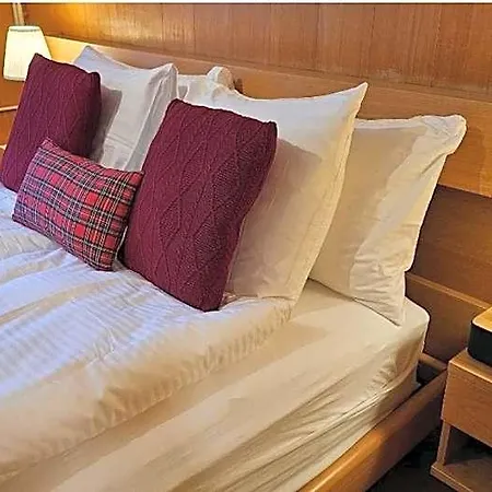 Alpina Boutique Interlaken - Ringgenberg - Adults Only ! Hotel Bonigen