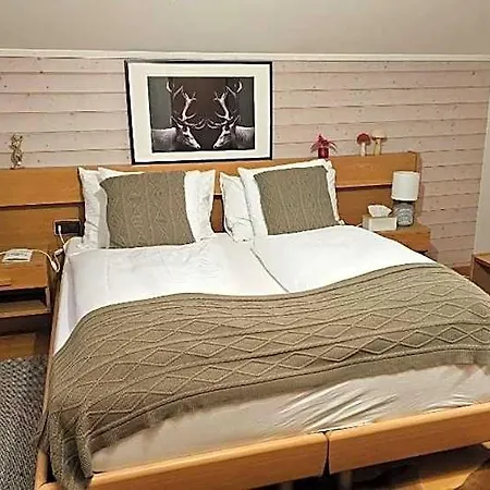 Alpina Boutique Interlaken - Ringgenberg - Adults Only ! Hotel Bonigen