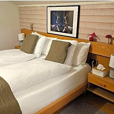 Hotel Alpina Boutique Interlaken - Ringgenberg - Adults Only ! 3*